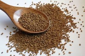 Organic Fenugreek